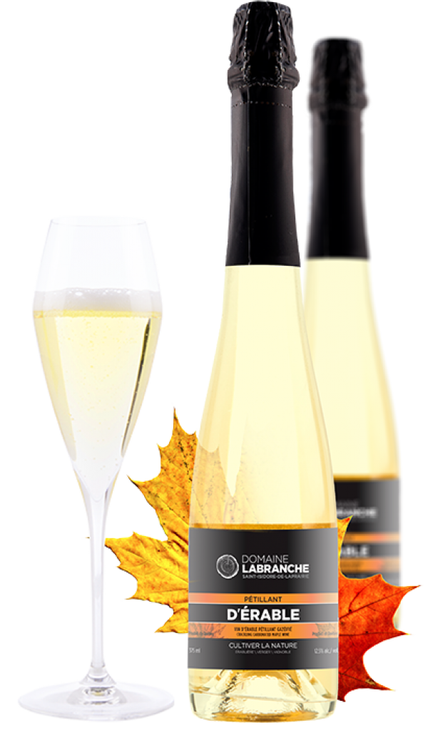Maple Sparkling Wine Other from Canada seeking for distributors