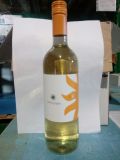 Photo for: Pinot Grigio IGT