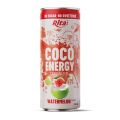 Photo for: Rita Coco Energy Carbonated Watermelon Flavor 250ml Can