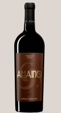 Photo for: Amaino 2015