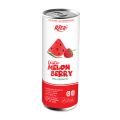 Photo for: 250ML CANNED WATERMELON BERRY JUICE DRINK