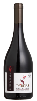 Photo for: Lidio Carraro - Pinot Noir