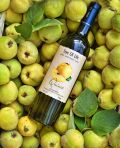 Photo for: Quince White Wine