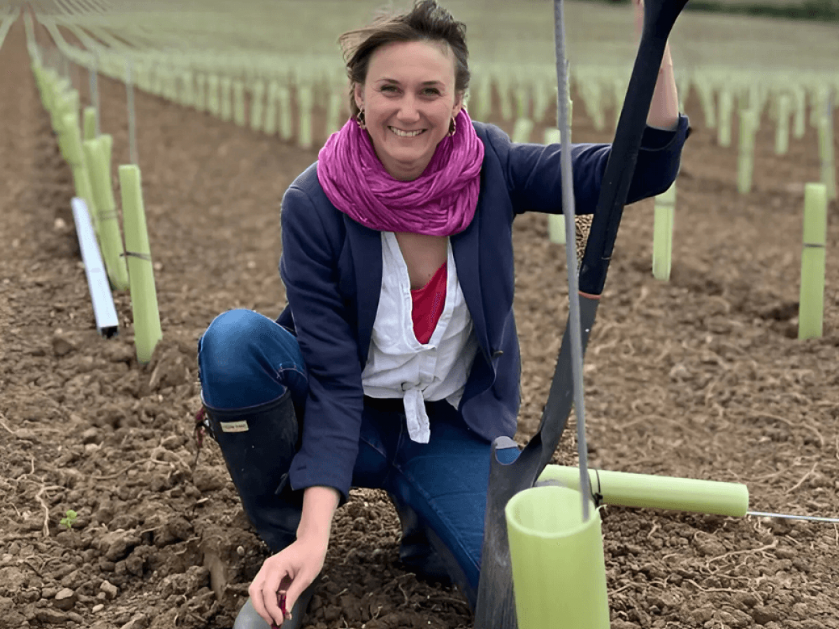 Photo for: WineGB’s Roadmap: Cultivating Success Under Nicola Bates