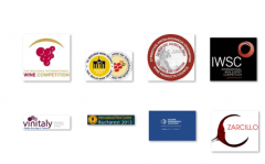 Photo for:  Wine Competitions in Europe