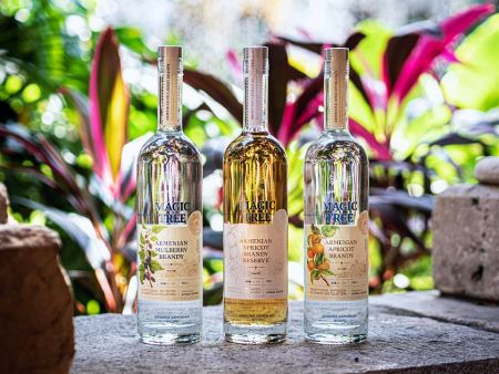 Photo for: Aregak Brandy: Honoring Armenia’s Legacy Through Craft and Innovation