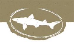Photo for: Dogfish Head Headed To Nebraska
