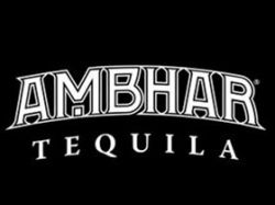 Photo for: Chris Noth Becomes Majority Stake Owner of Ultra Premium Ambhar Tequila