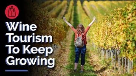 Photo for: Wine Tourism To Keep Growing