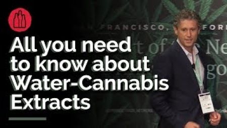 Photo for: Water Compatible Cannabis Extract Nanoemulsions - Alexey Peshkovsky