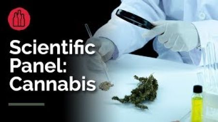 Photo for: Scientific Panel : Cannabis - Dr. Arup Sen, Dr. Jennifer Stamps & Alexey Peshkovsky