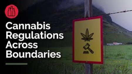Photo for: Cannabis Regulations Across Boundaries - Panel Moderated by Omar Figueroa